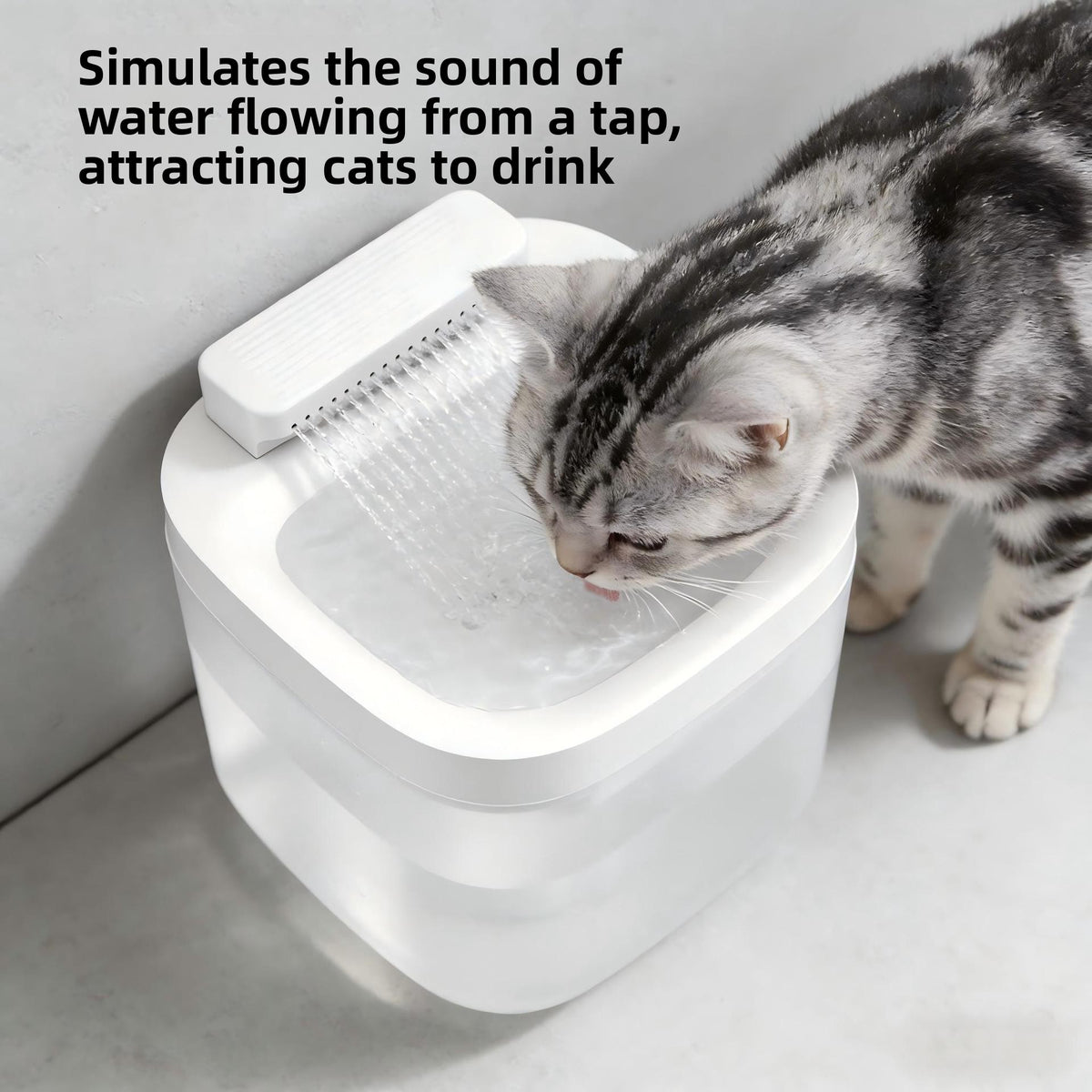 Automatic Pet Water Dispenser with Filtration System