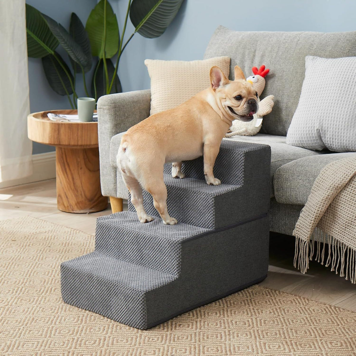 Pet climbing ladder